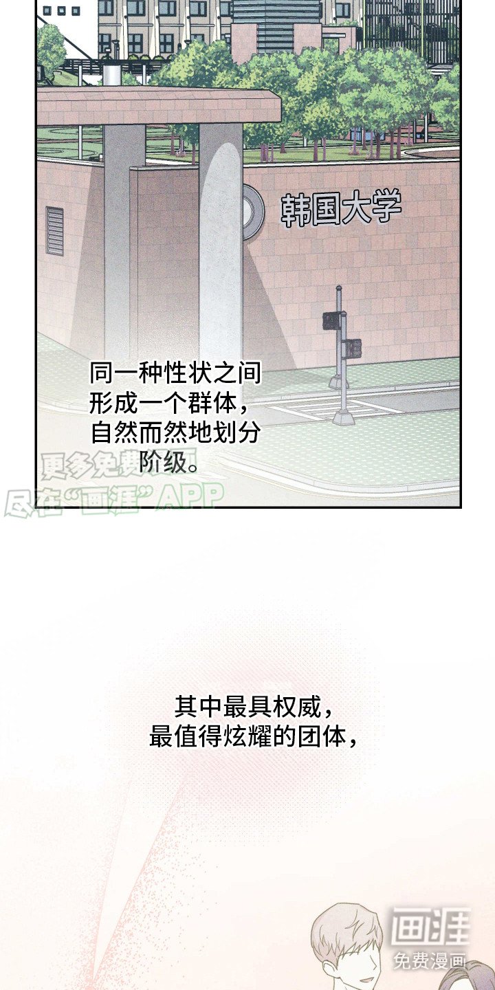 第1章：特征转变