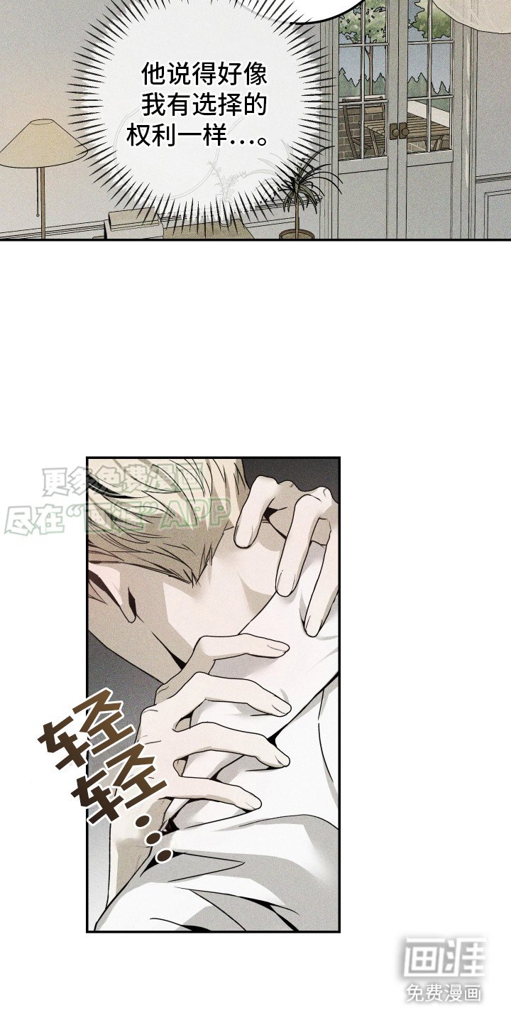 第4章：解决方案