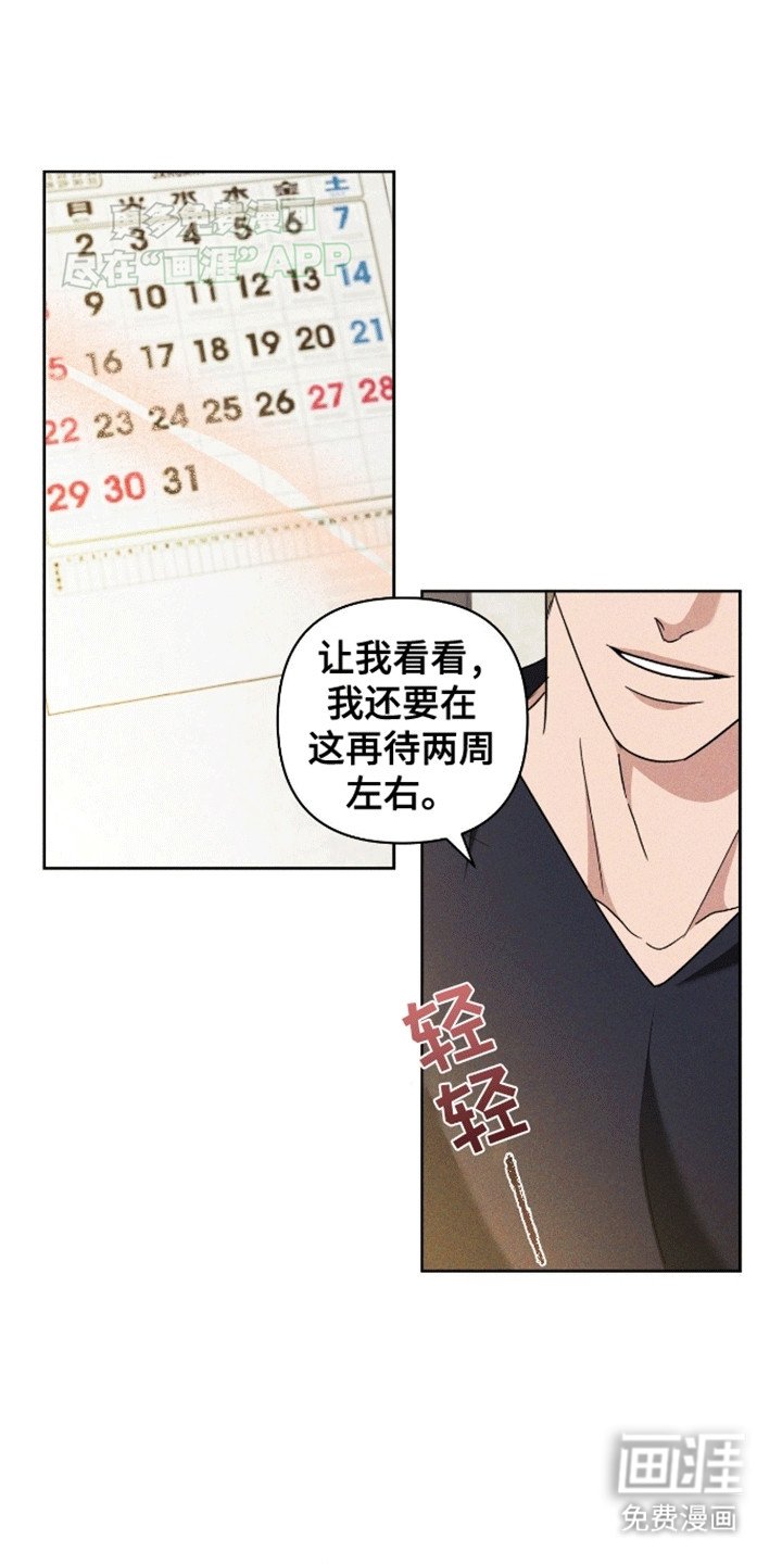 第5章：胡说八道