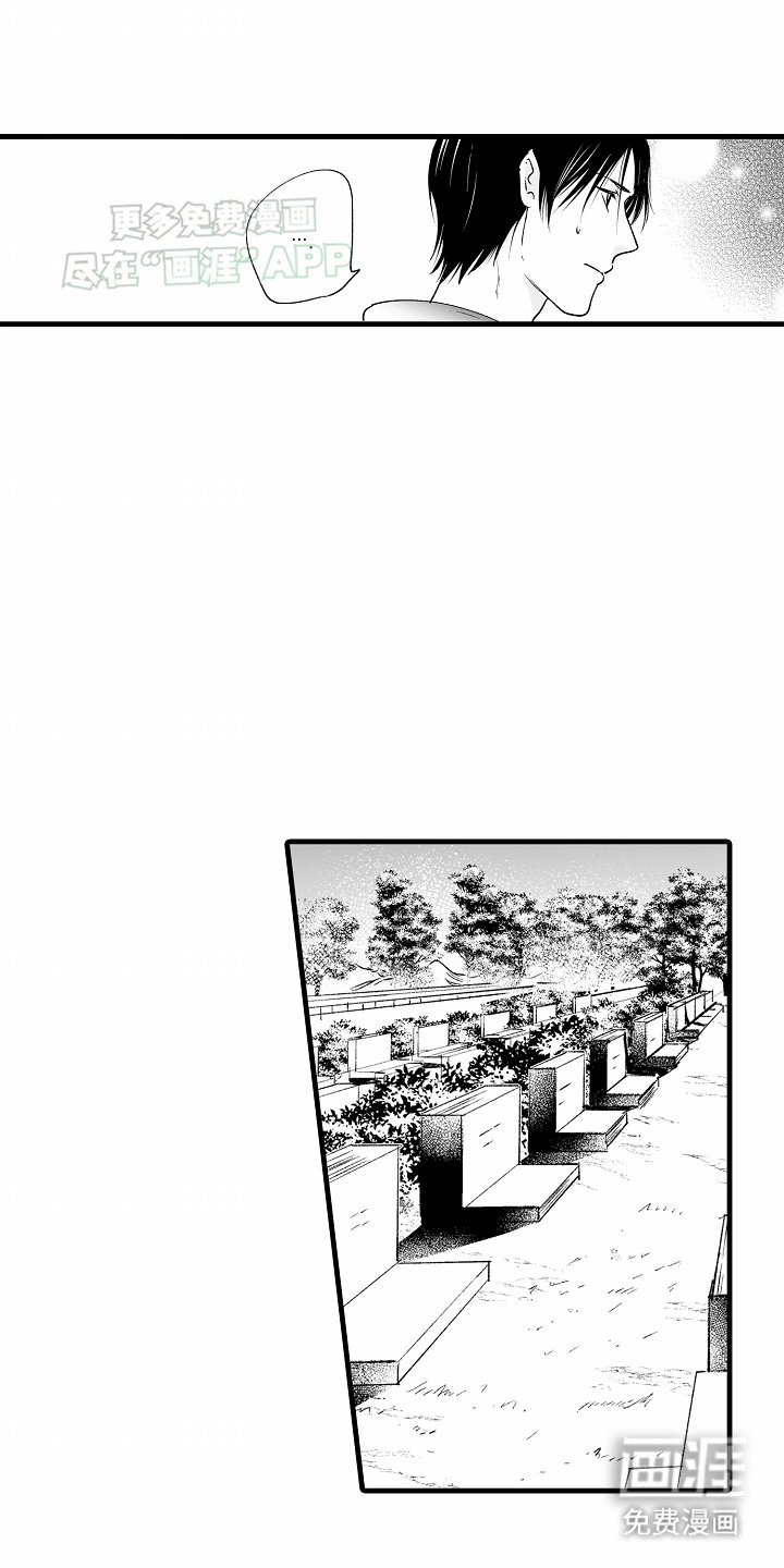 第16章：该怎么做