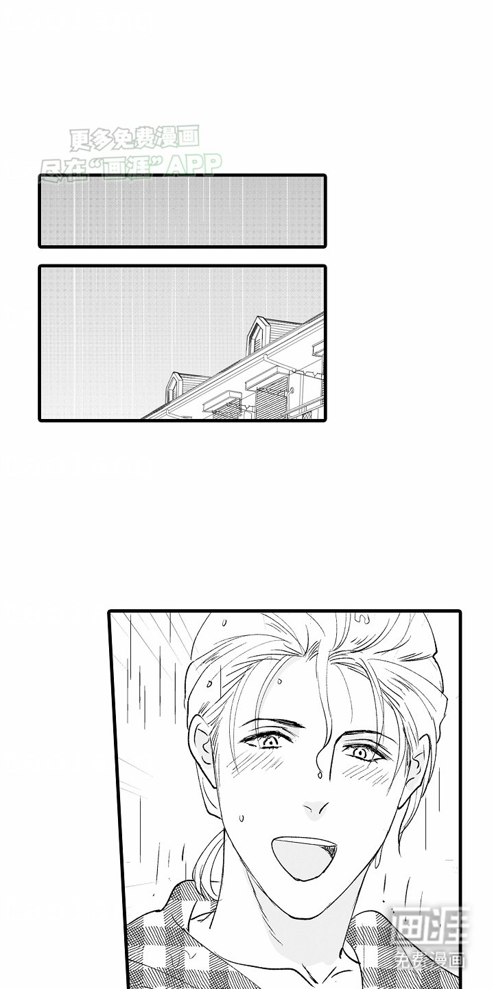 第17章：和好