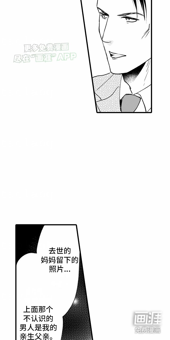 第20章：没有血缘关系