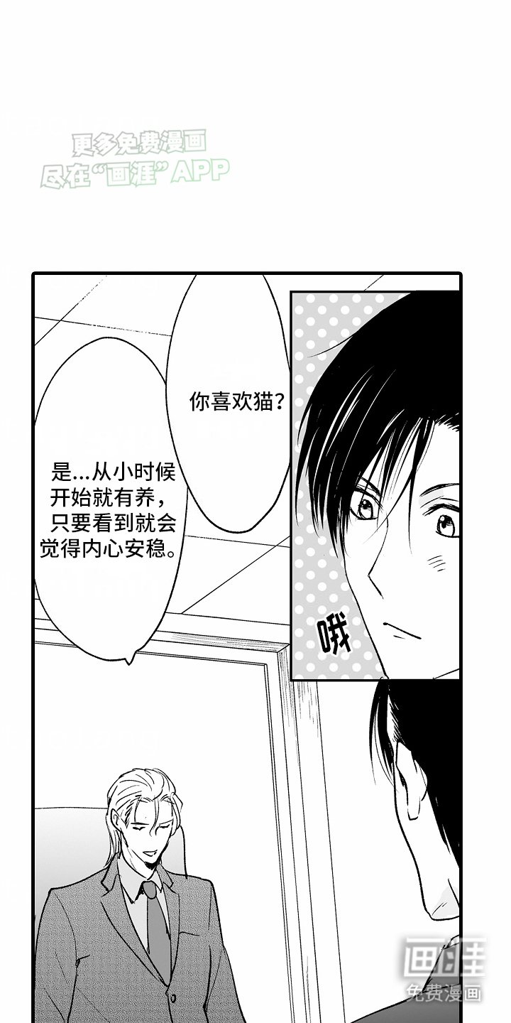 第3章：借口