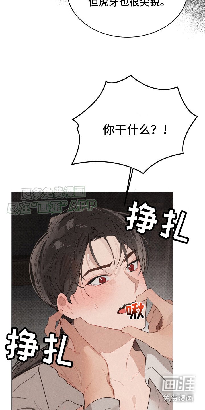 第4章：终于找到了