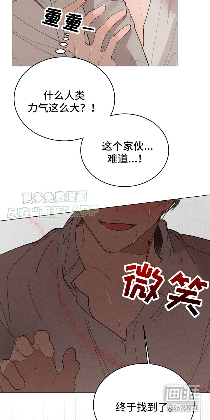 第4章：终于找到了