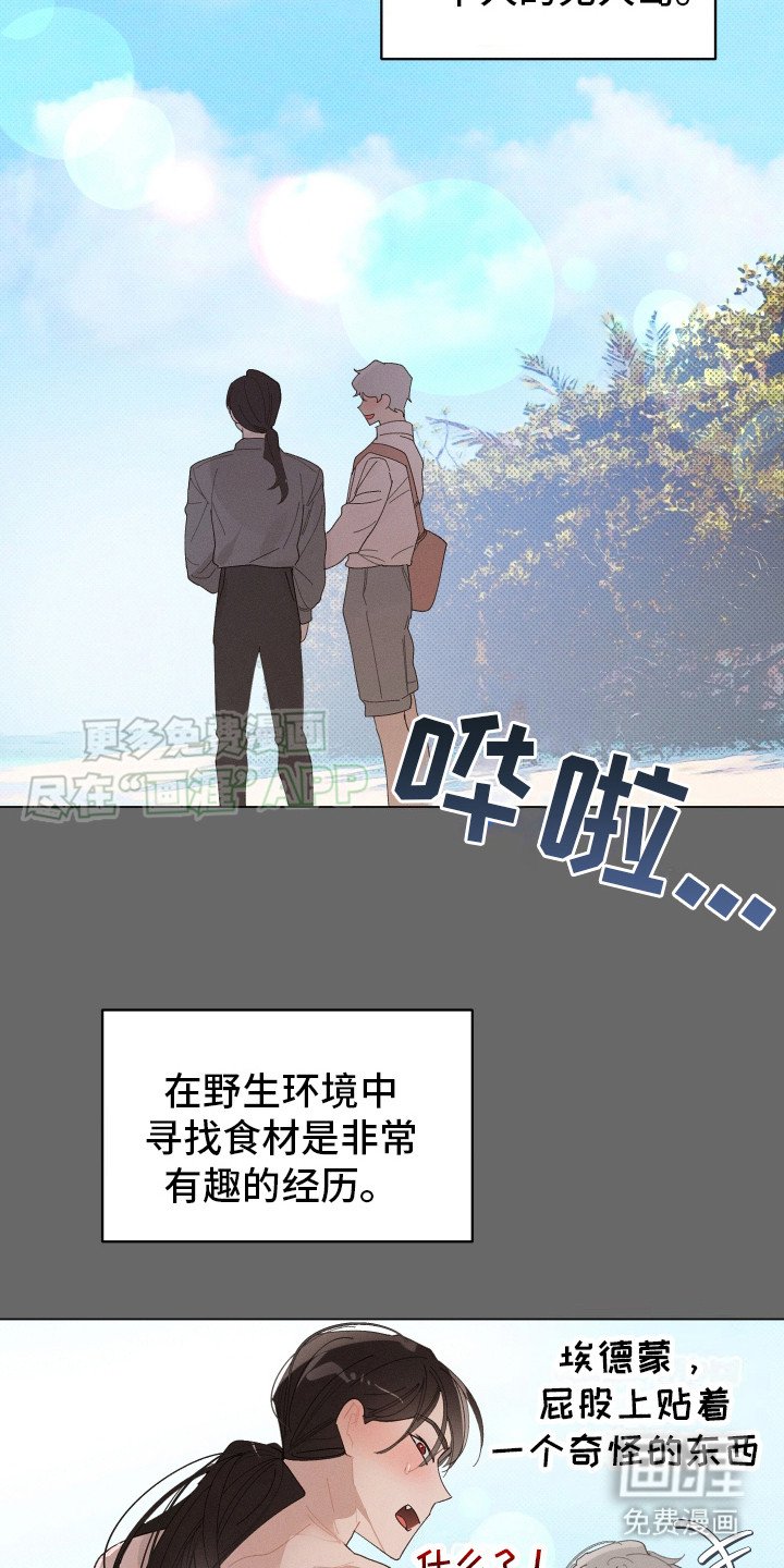 第8章：四处游历