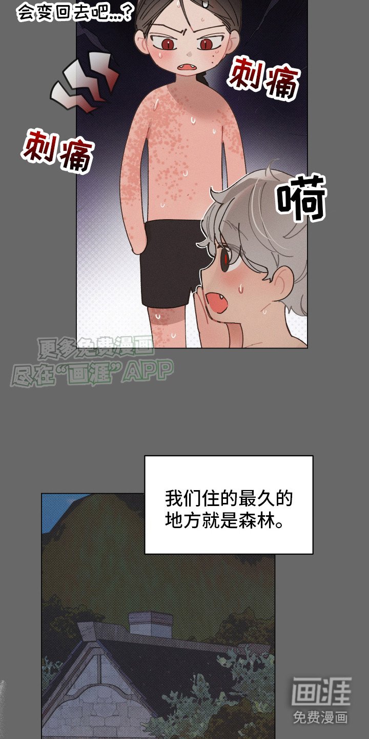 第8章：四处游历