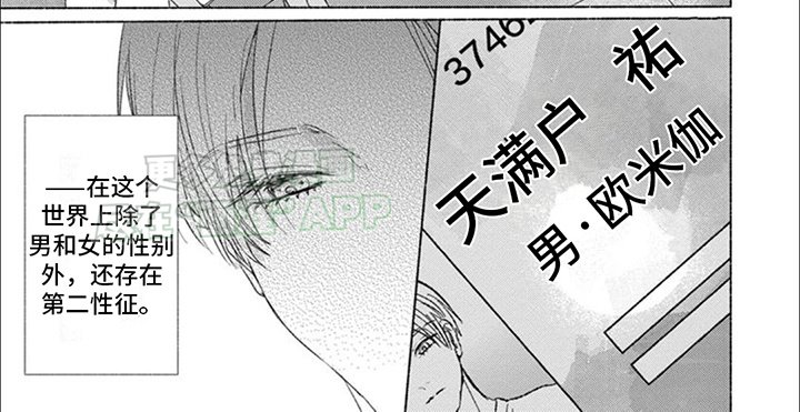 第1章：夫妇
