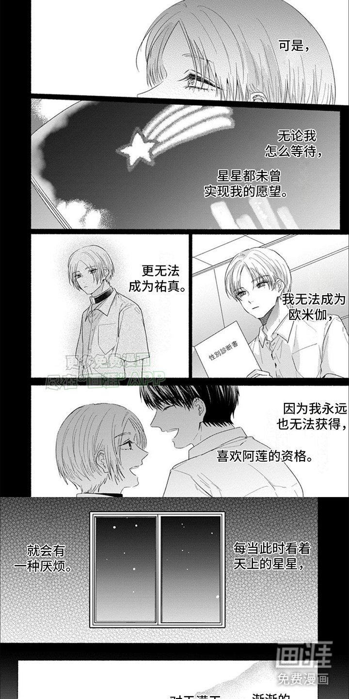 第23章：归宿