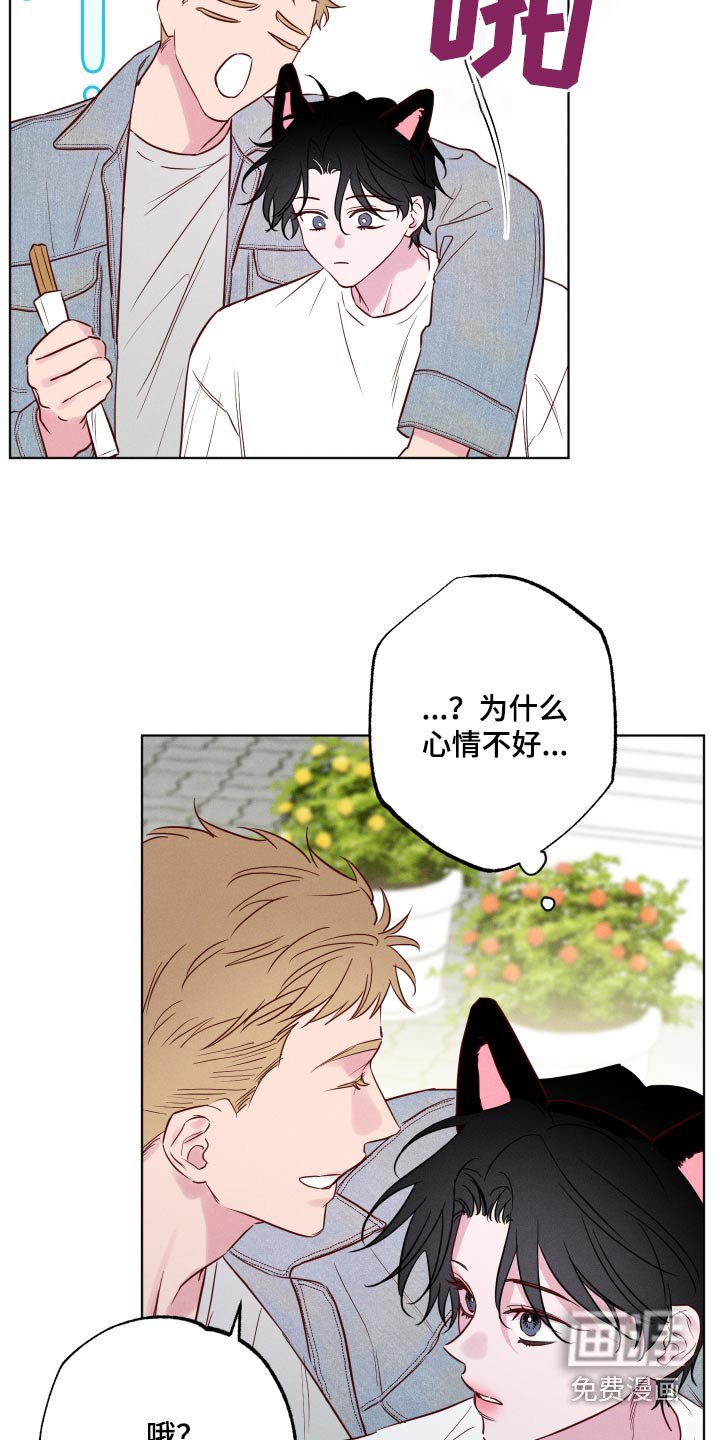 第42章：烟花