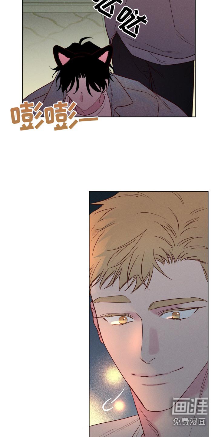 第42章：烟花