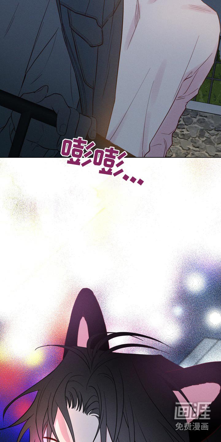 第42章：烟花
