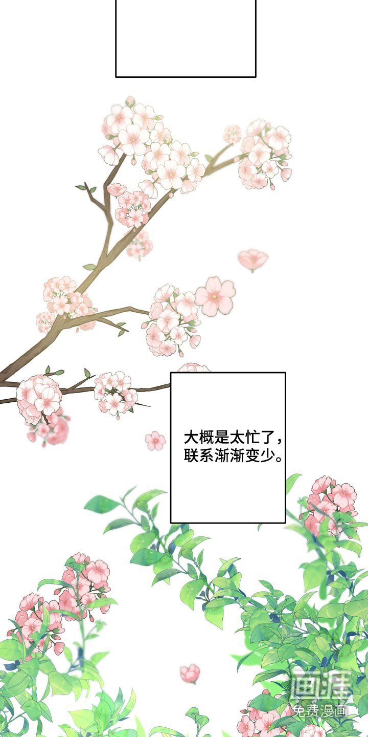 第42章：烟花