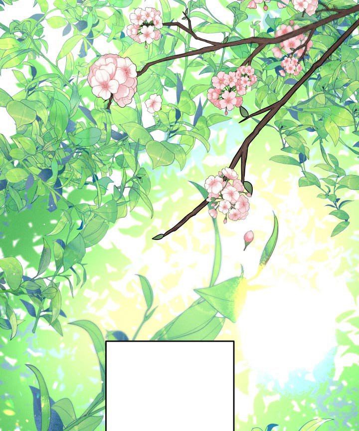 第42章：烟花