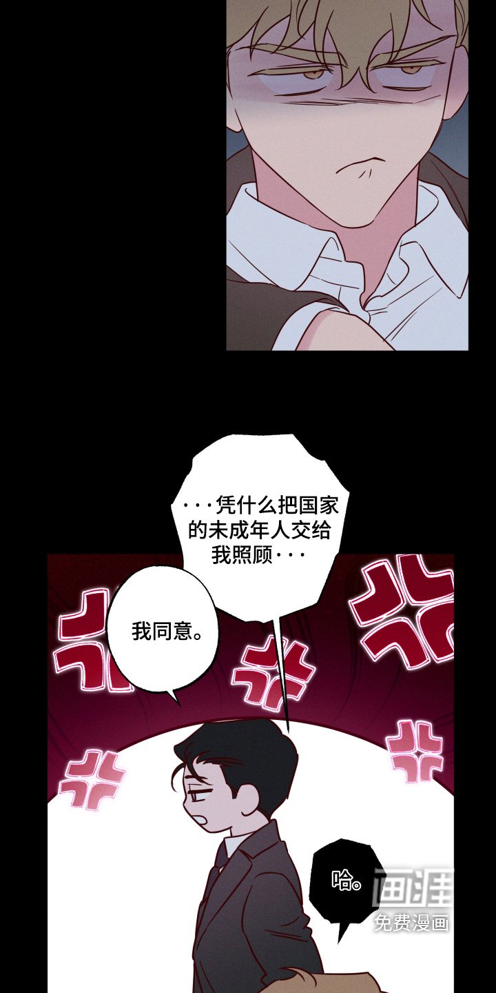 第48章：【第二季】我同意