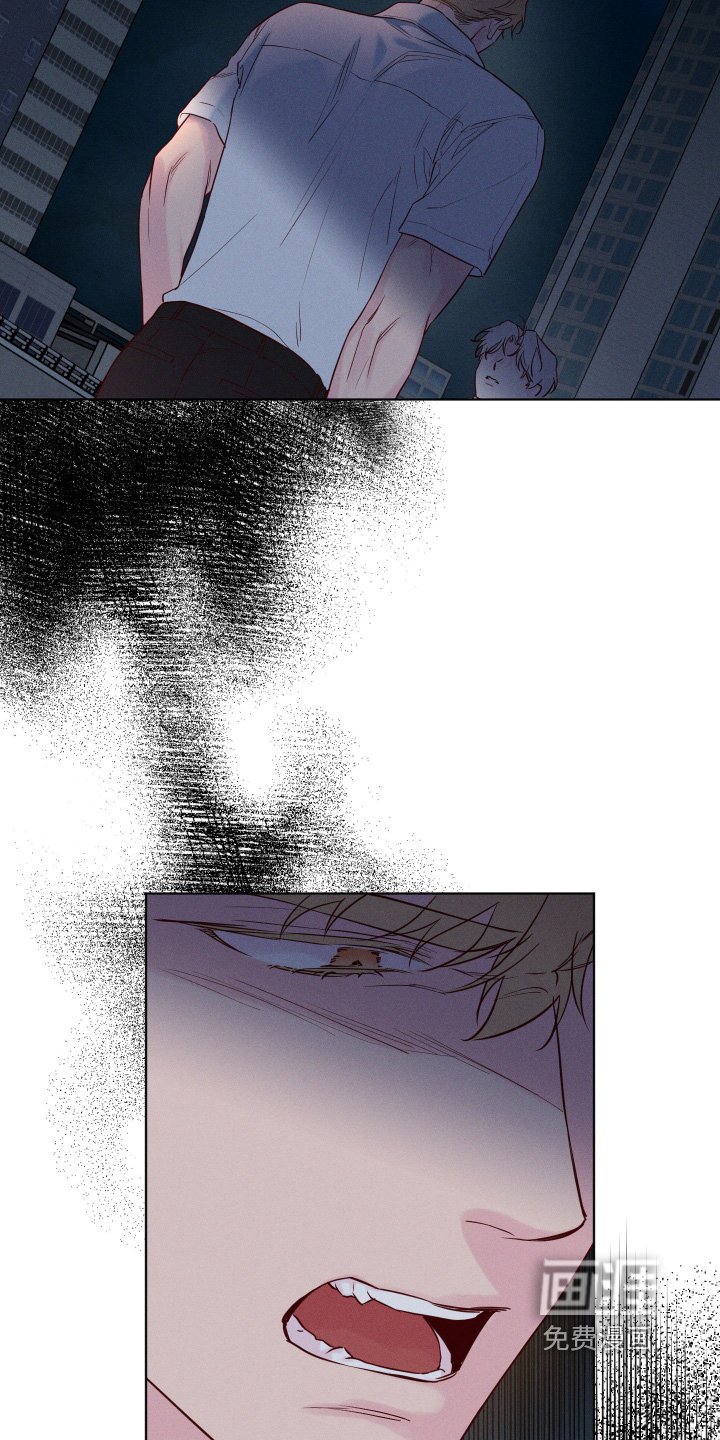 第53章：【第二季】有对象了