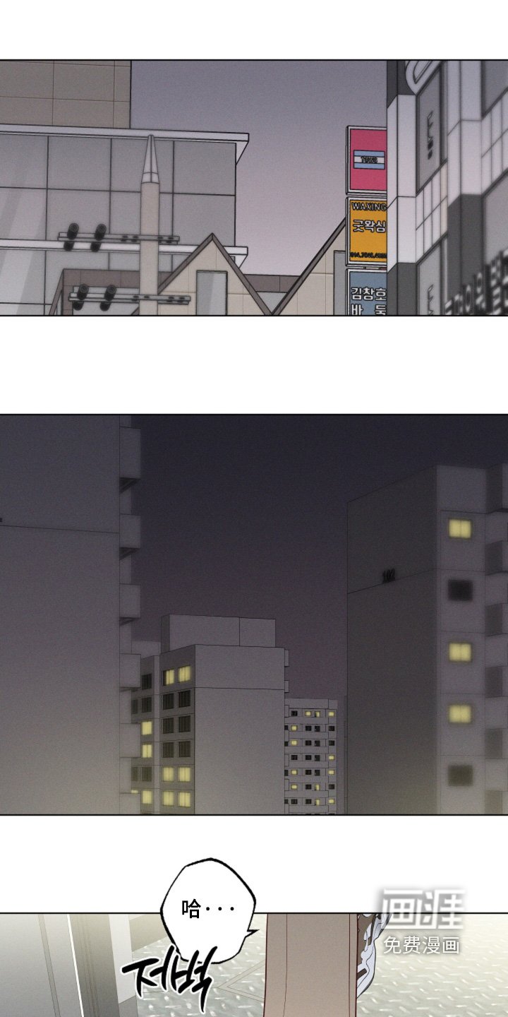 第66章：【第二季】以后不见面了
