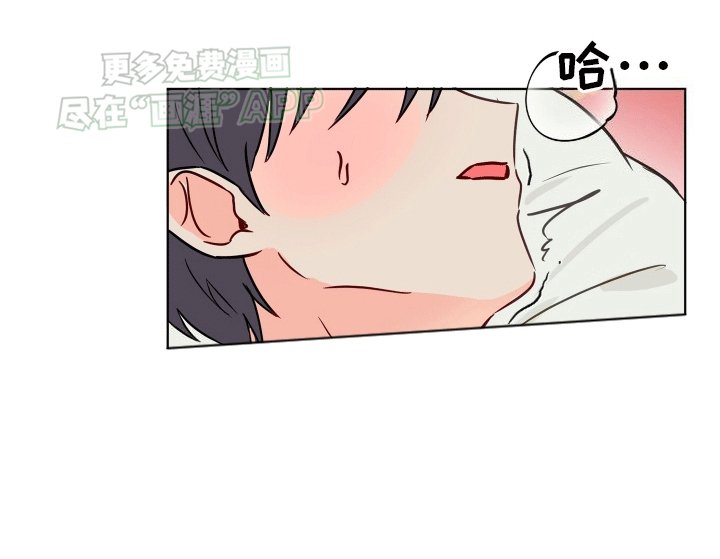第2章：夜晚的秘密