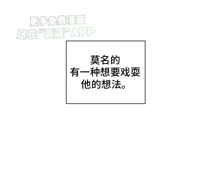 第5章：心动