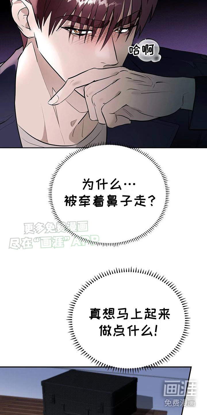 第11章：牵着鼻子走
