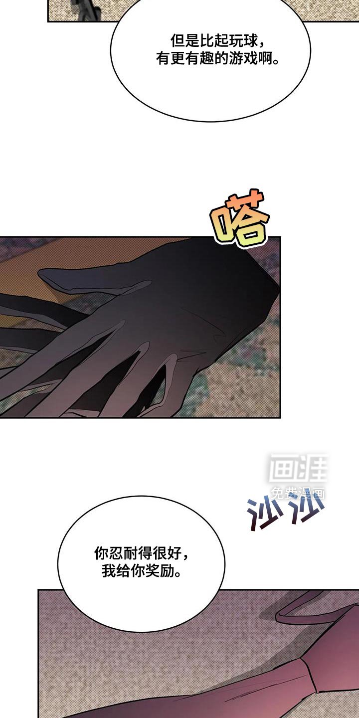 第16章：问题