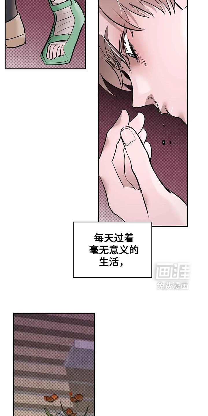 第17章：危险的兴趣