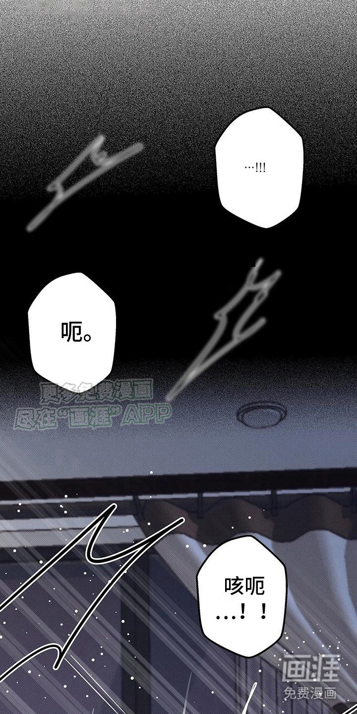 第5章：没看错