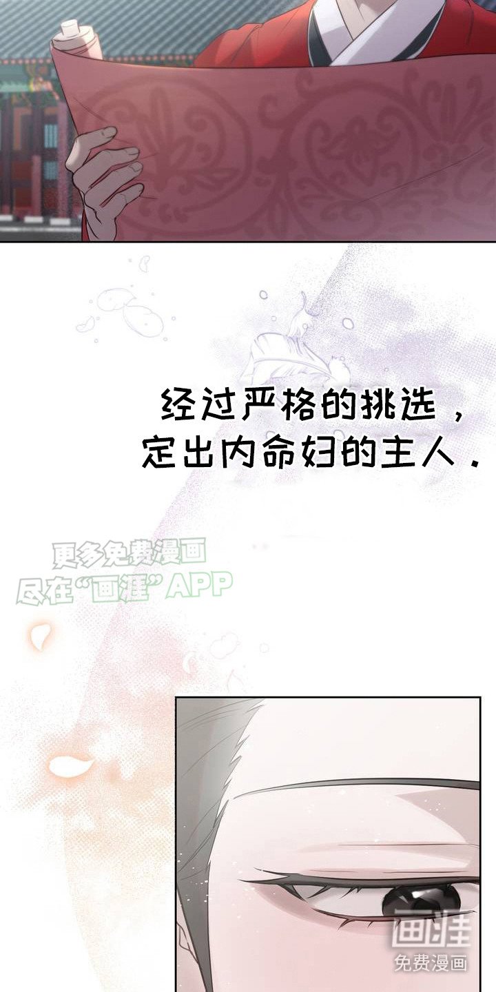 第1章：中殿娘娘