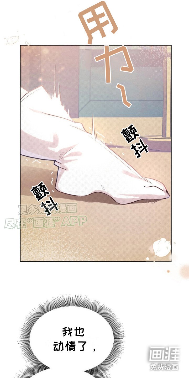 第15章： 桃子