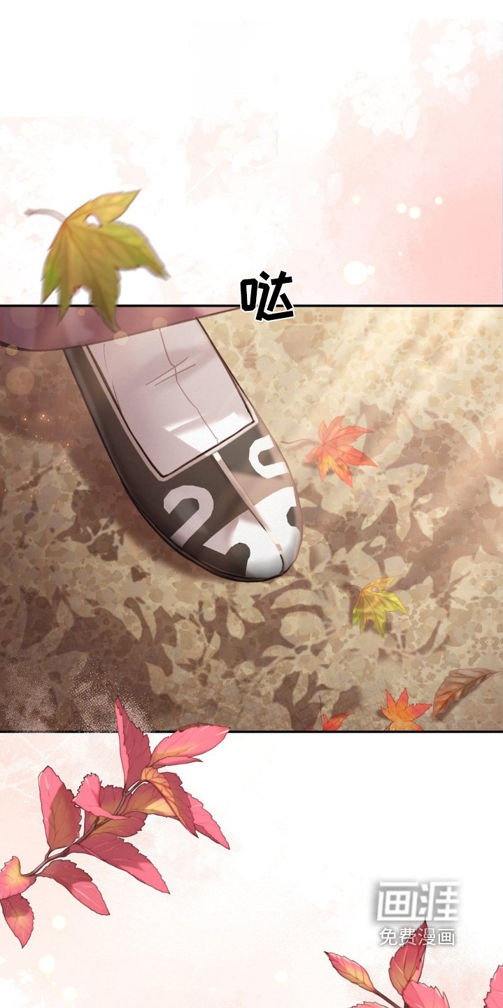 第33章：我要这个