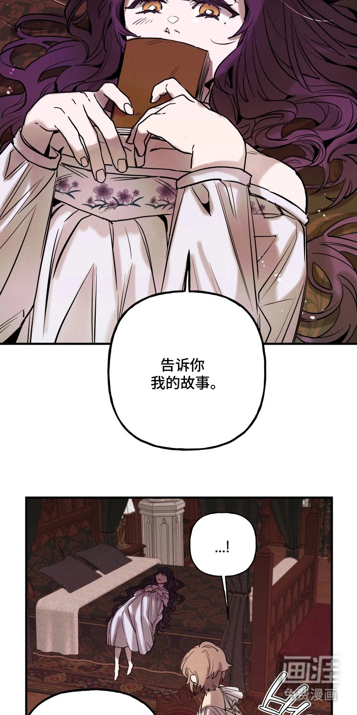 第16章：非常神奇的地方