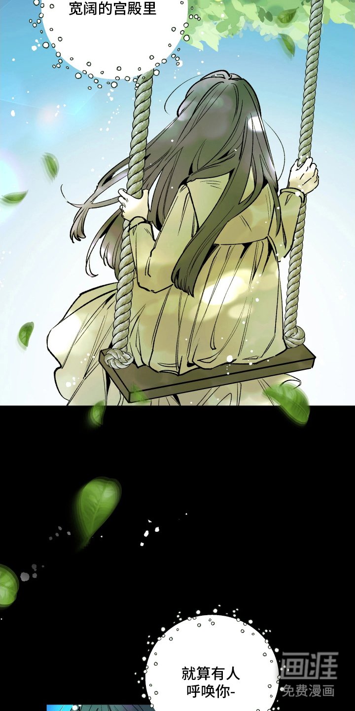 第16章：非常神奇的地方