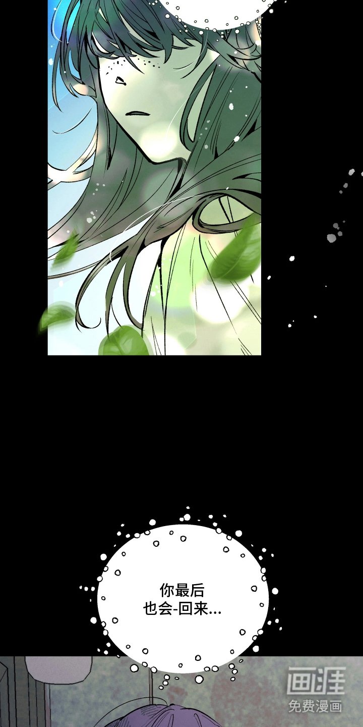 第16章：非常神奇的地方