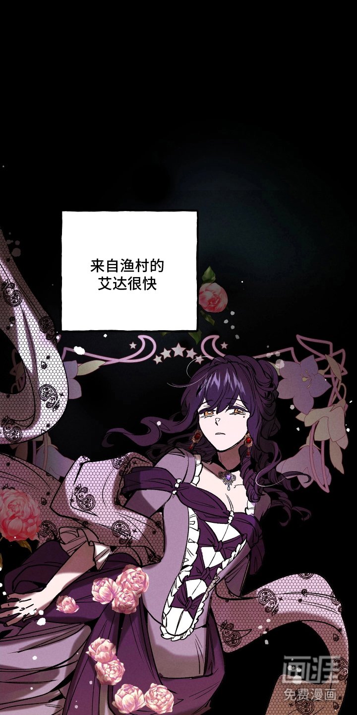 第16章：非常神奇的地方