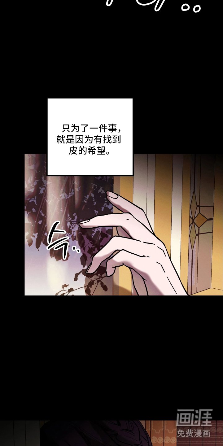 第17章：你的文章