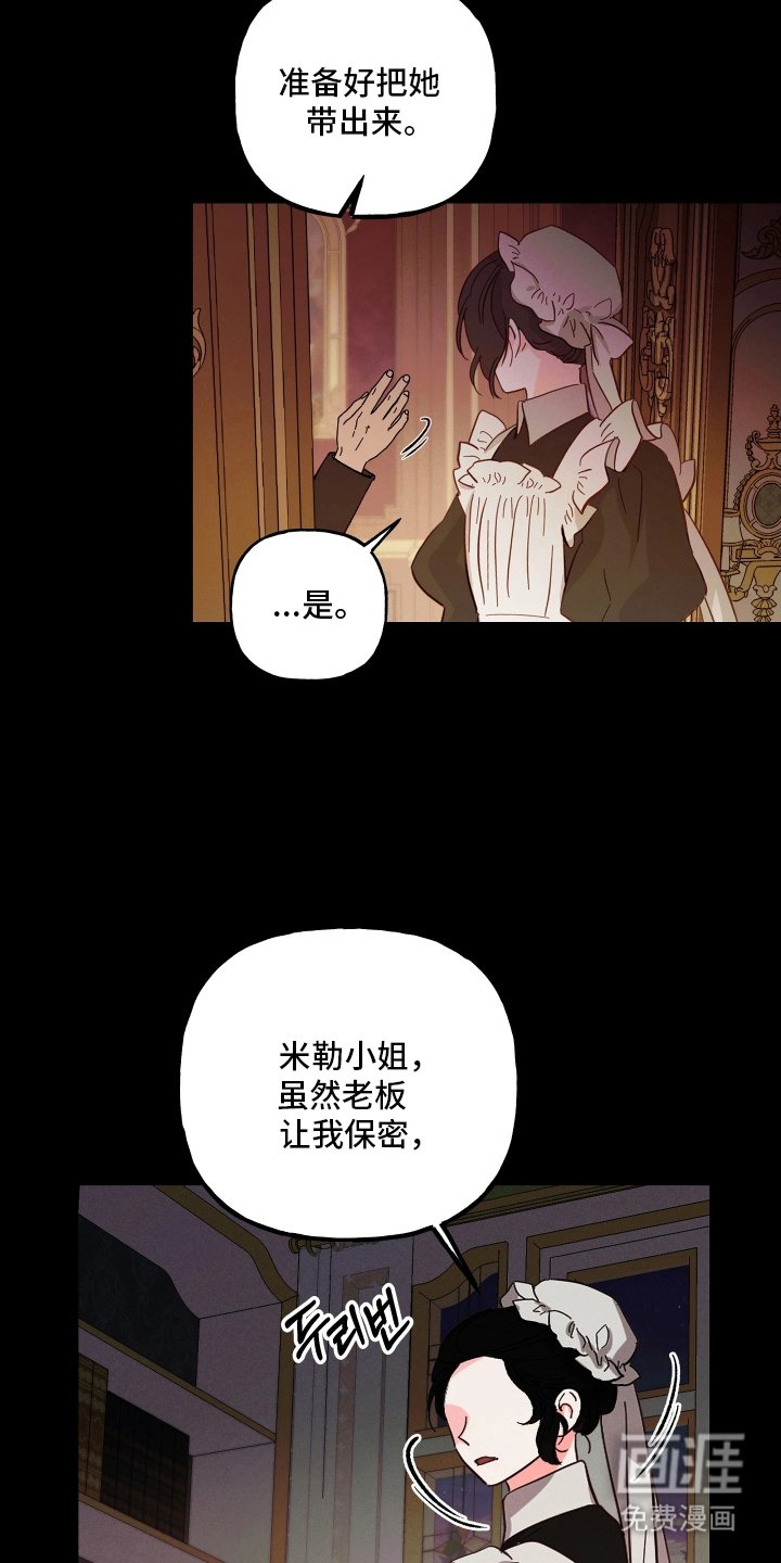 第17章：你的文章