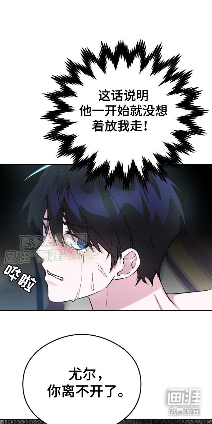 第8章：幻觉（完结）