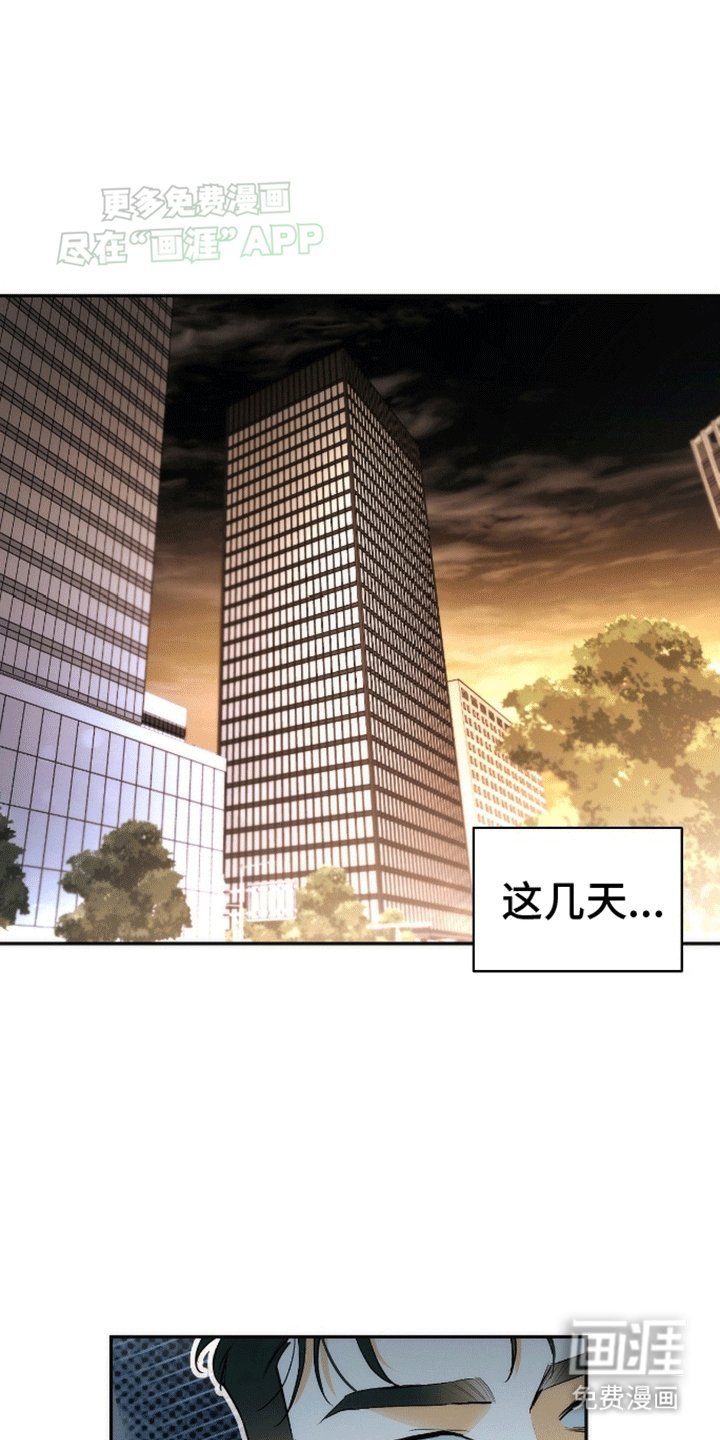 第11章：假货
