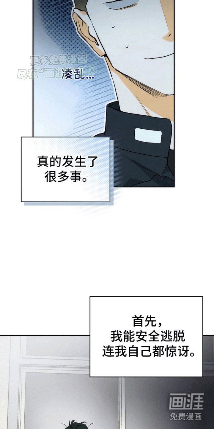 第11章：假货