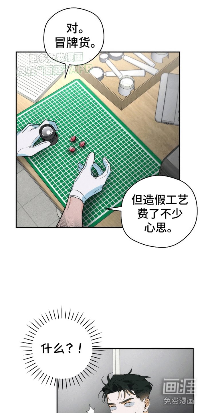 第11章：假货
