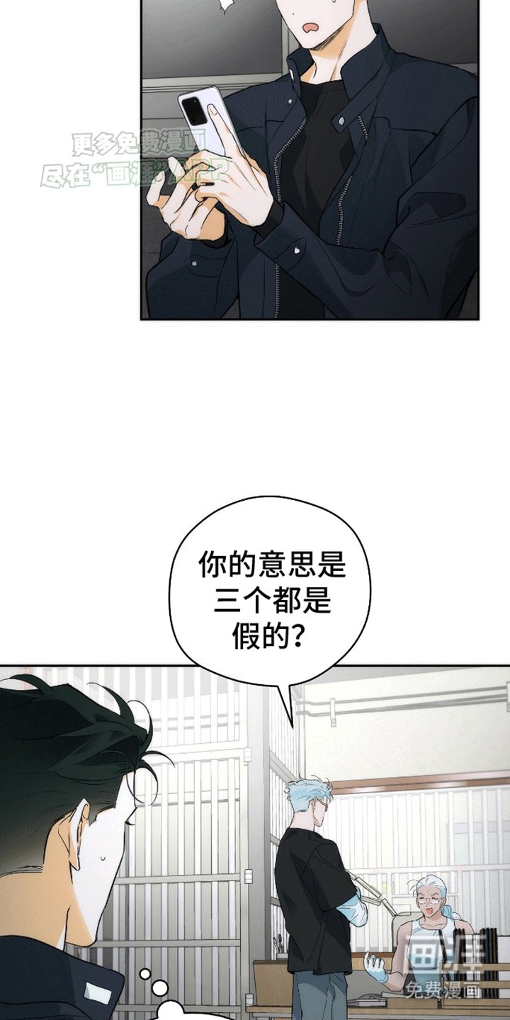 第11章：假货