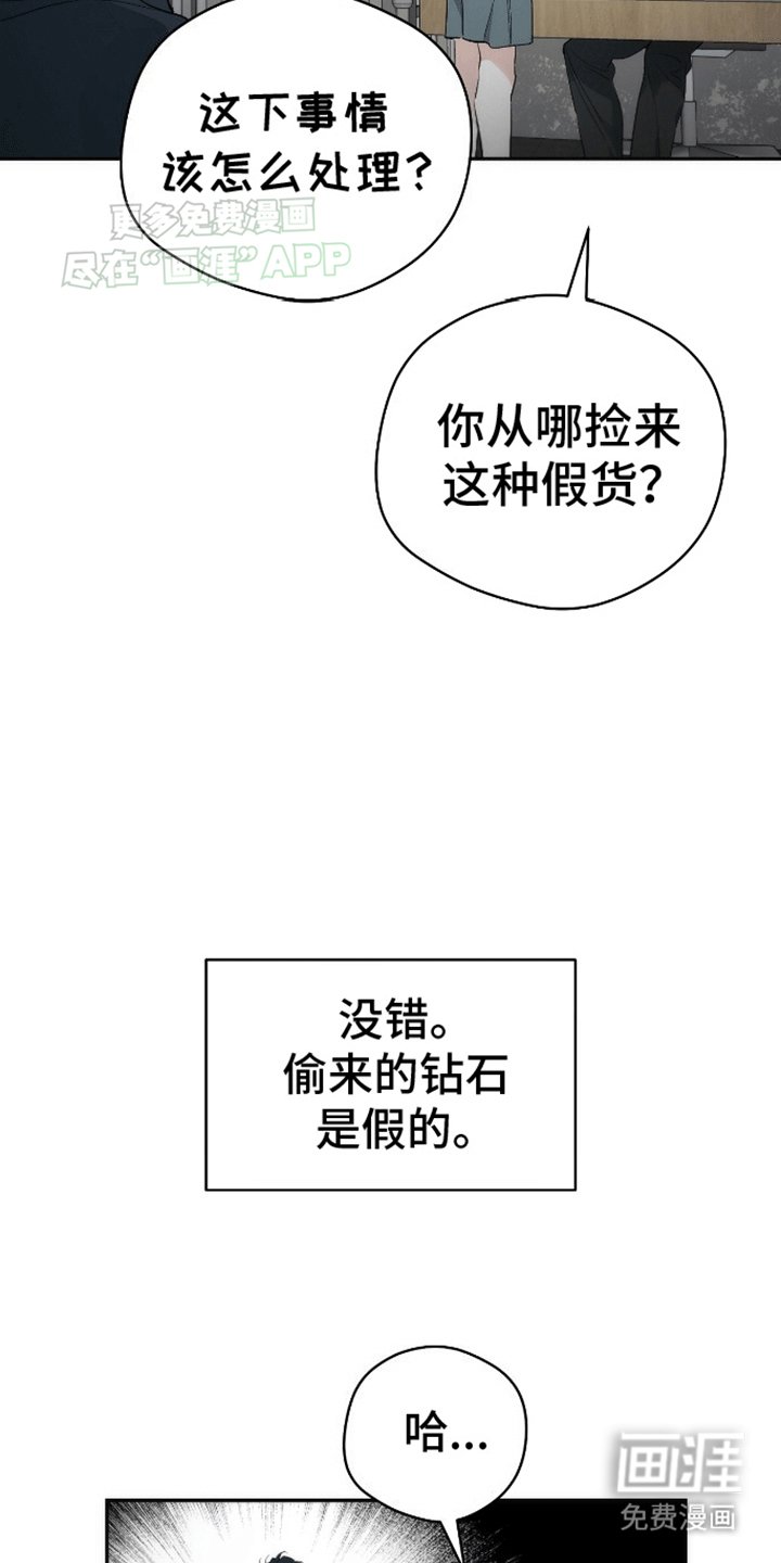 第11章：假货
