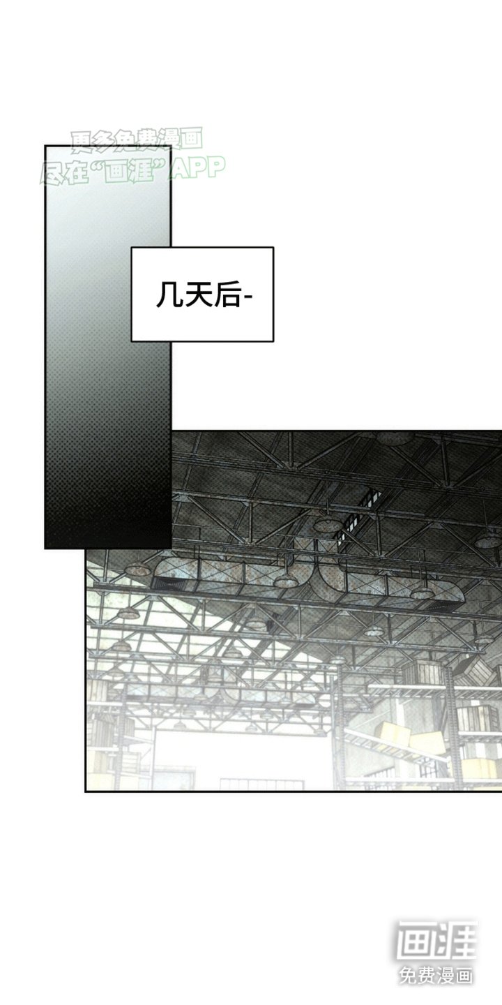 第11章：假货