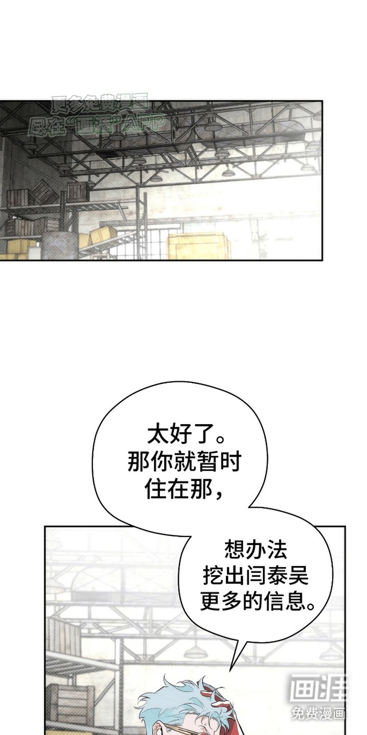 第15章：亲自调查