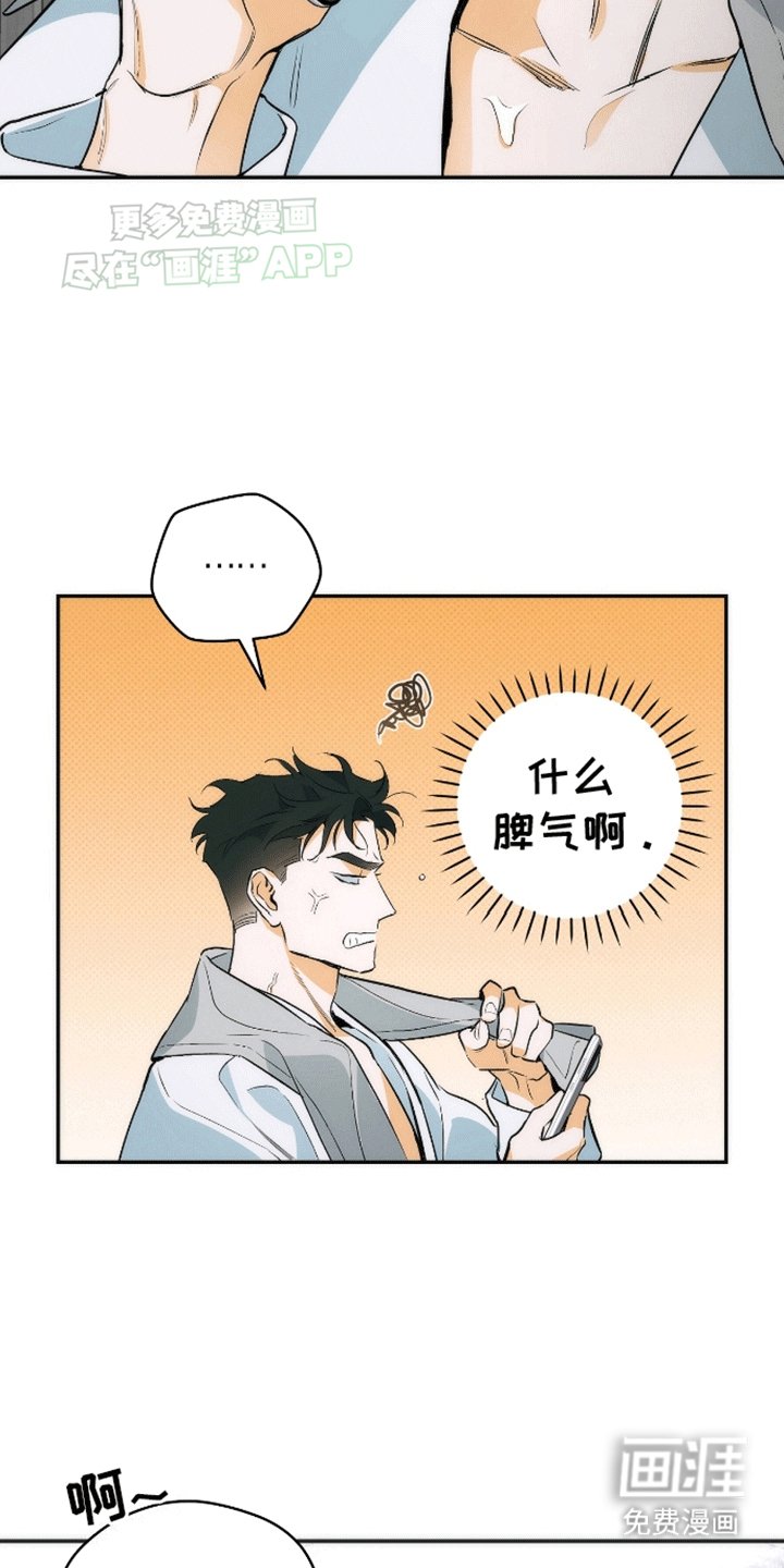 第15章：亲自调查