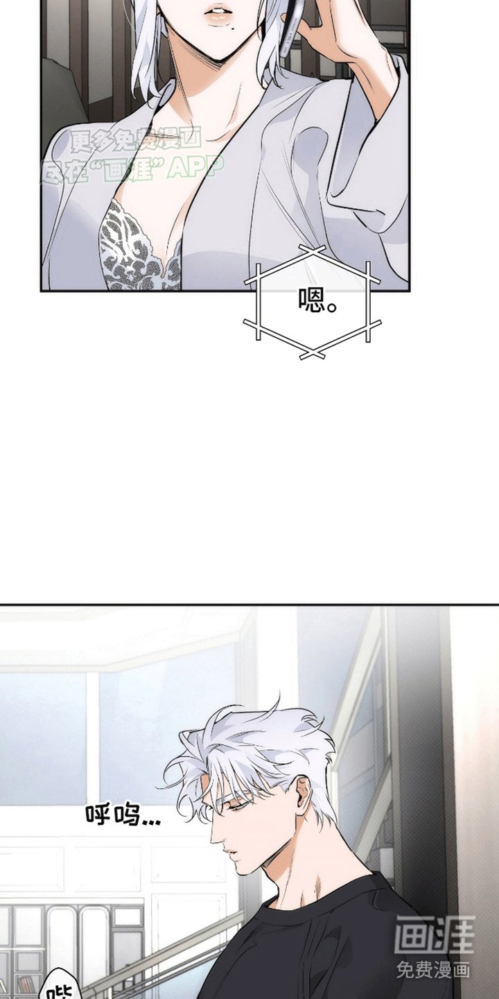 第15章：亲自调查