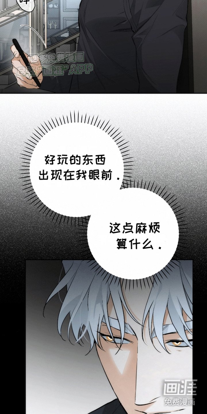 第15章：亲自调查
