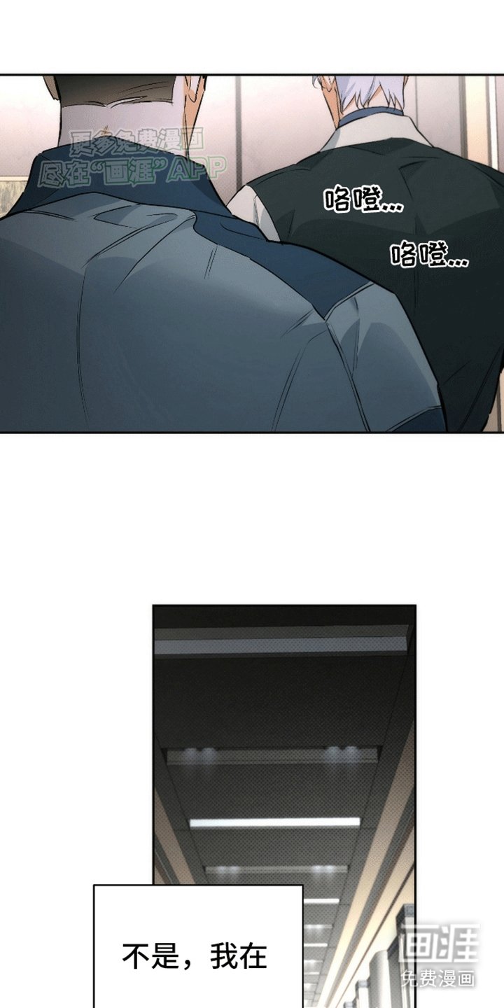 第19章：在期待什么
