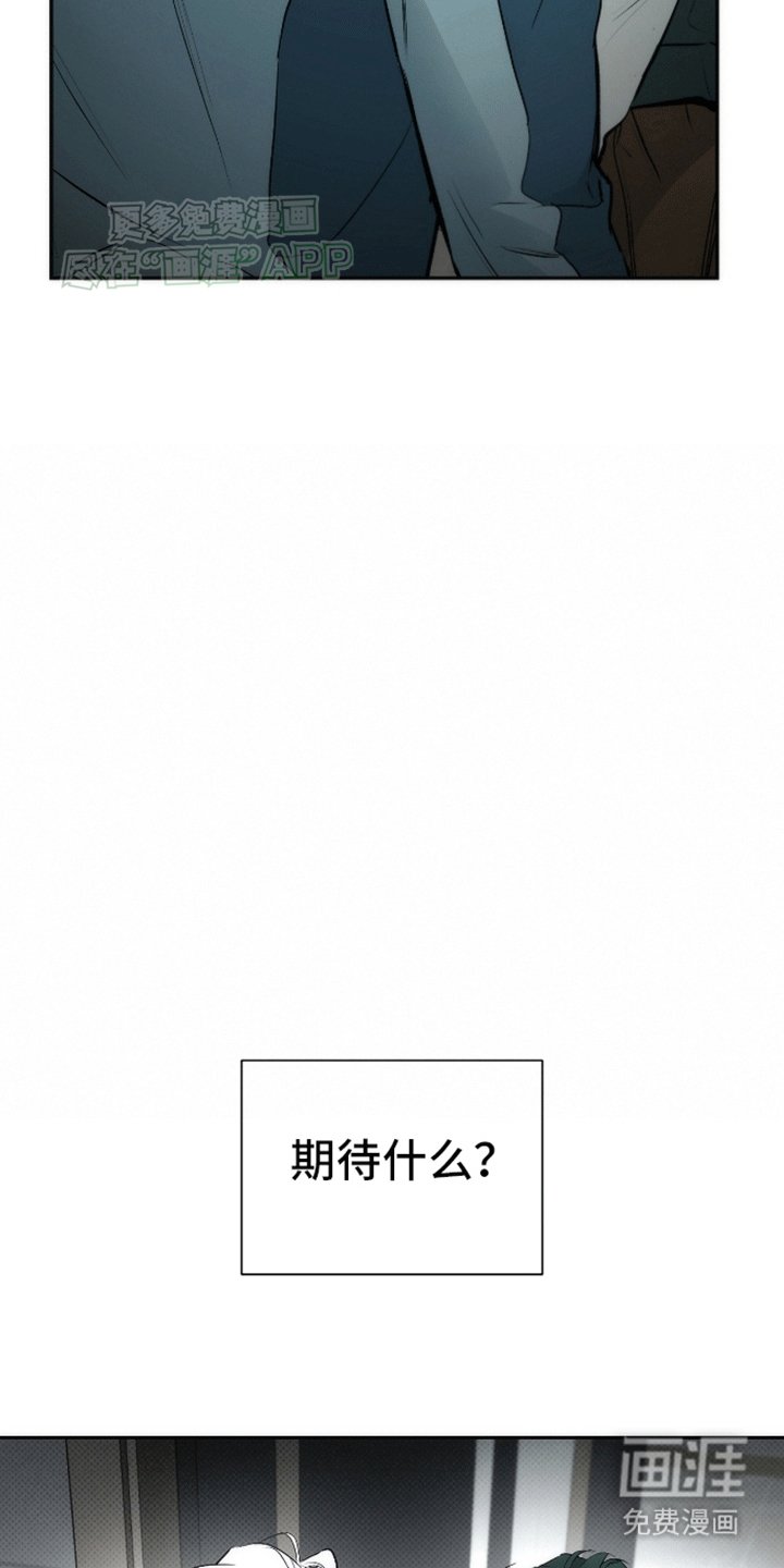 第19章：在期待什么
