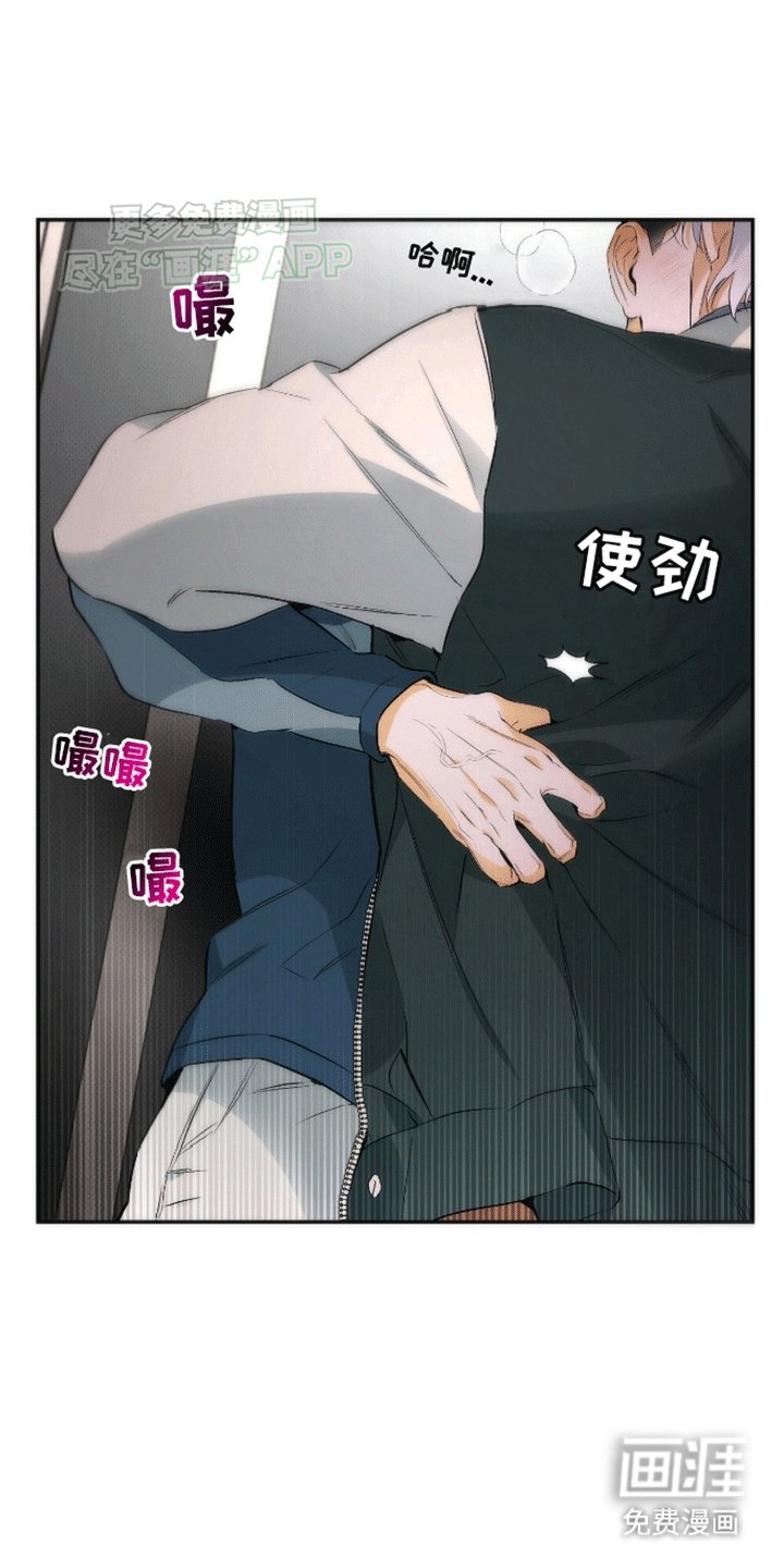 第19章：在期待什么
